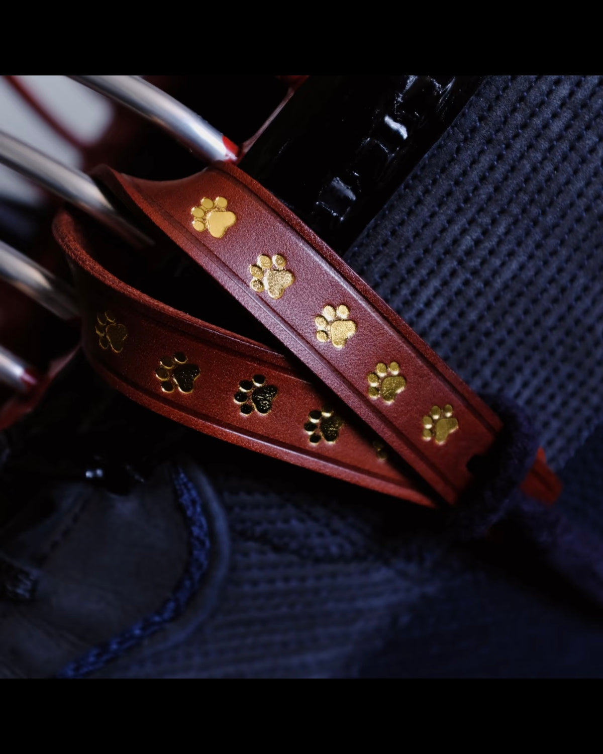 Kendo Chichigawa | "Paws" in red-gold