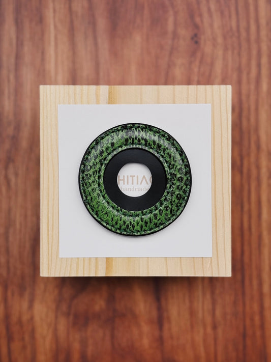 Kendo Tsubadome | Python in green