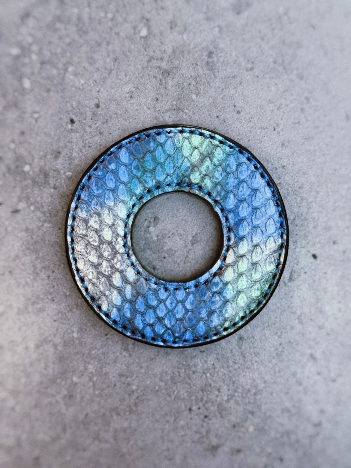 Kendo Tsuba | Python in Blue-green
