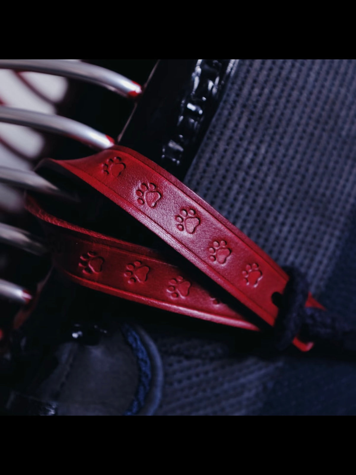 Kendo Chichigawa | "Paws" in red