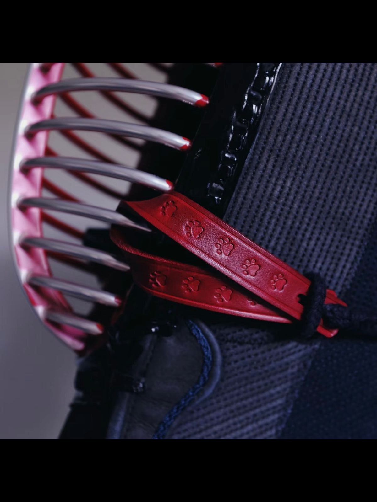 Kendo Chichigawa | "Paws" in red