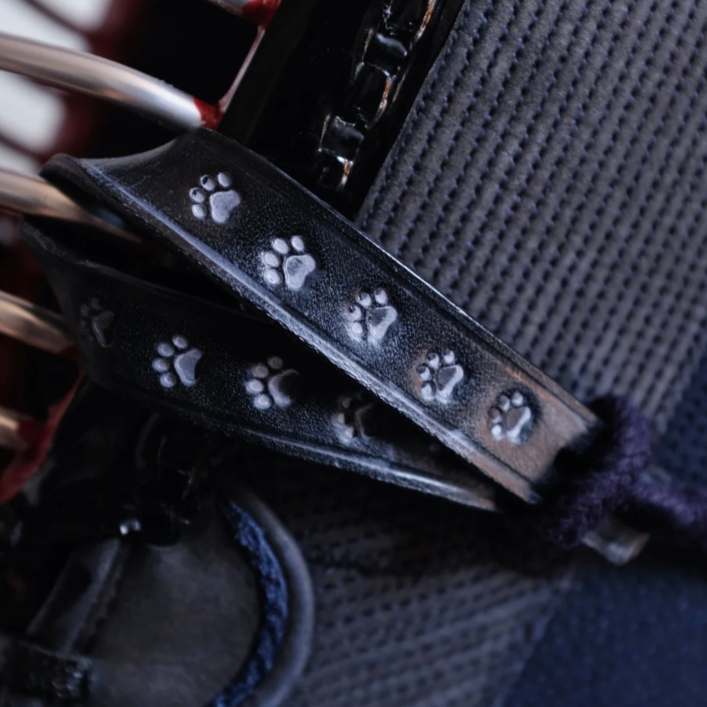Kendo Chichigawa | "Kitty Paw"