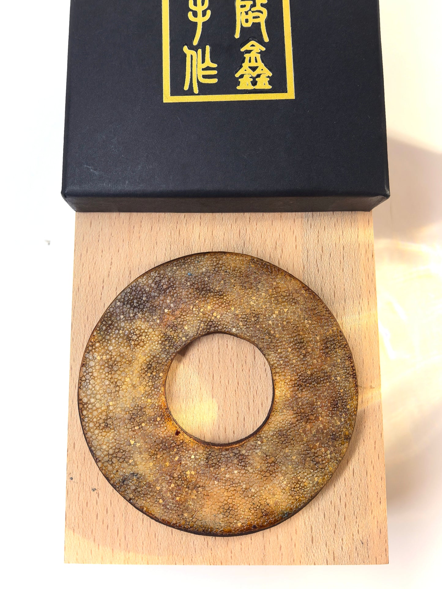Kendo Tsuba | Tiger Shark 04.25